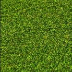 Turf
