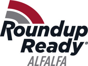 RR Alfalfa
